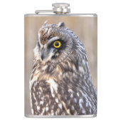 Flasques Portrait d'une chouette à courte portée (Devant)