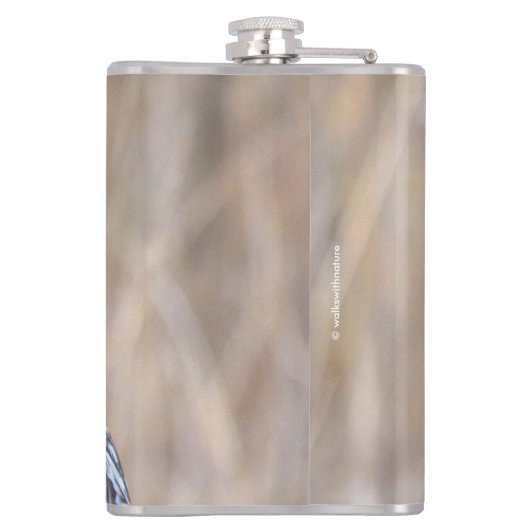 Flasques Portrait d'une chouette à courte portée (Dos)