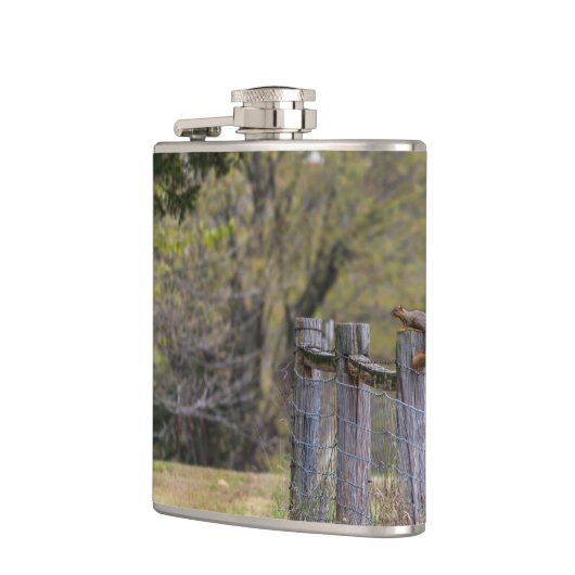 Flasques Pose de la clôture de l'écureuil (Gauche)