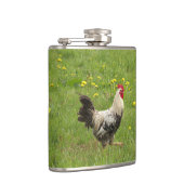 Flasques poulet, coq, animal, oiseau, ferme, agriculture, (Droite)