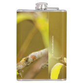 Flasques Profil d'un Bruant à tête blanche pensif (Dos)