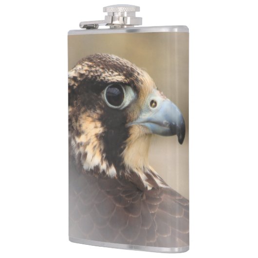 Flasques Profil d'un faucon pèlerin (Gauche)