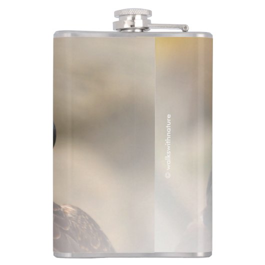 Flasques Profil d'un faucon pèlerin (Dos)