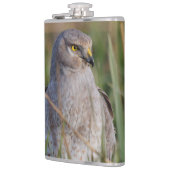 Flasques Profil d'un harceleur du Nord (Gauche)