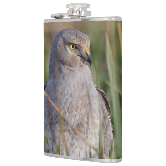 Flasques Profil d'un harceleur du Nord (Gauche)