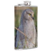 Flasques Profil d'un harceleur du Nord (Droite)