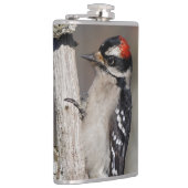 Flasques Profil d'un Pic Downy mâle (Droite)