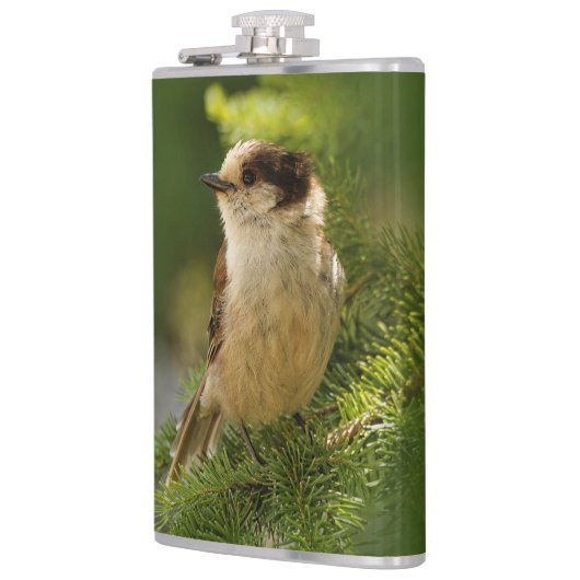 Flasques Profil d'une Jay gris mou / Whiskeyjack (Gauche)