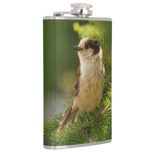 Flasques Profil d'une Jay gris mou / Whiskeyjack (Droite)