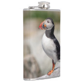 Flasques Puffin Atlantique en Machias, Maine (Droite)