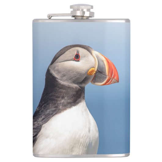 Flasques Puffin Atlantique en Machias, Maine (Devant)