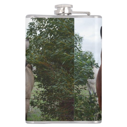 Flasques Quatre Chevaux De Couleur Différents, Bouche À Che (Dos)