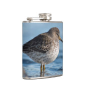 Flasques Recherche de Bécasseau (Droite)