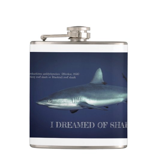 Flasques Requin gris de récif dans Yap Micronésie Mug de ca (Devant)