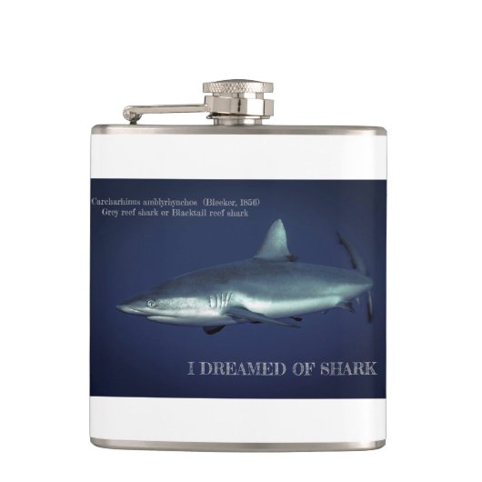 Flasques Requin gris de récif dans Yap Micronésie Mug de ca (Devant)