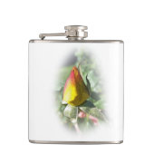 Flasques rose jaune (Devant)