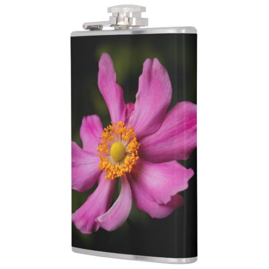 Flasques Rose "Prinz Heinrich" japonais Anemone Flower (Gauche)