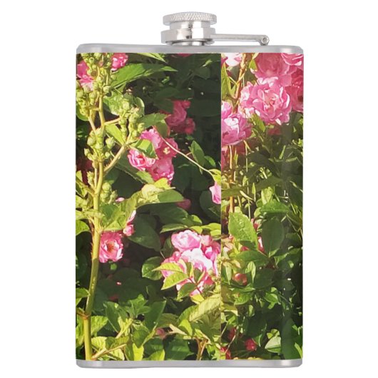 Flasques Roses roses en fleur (Dos)