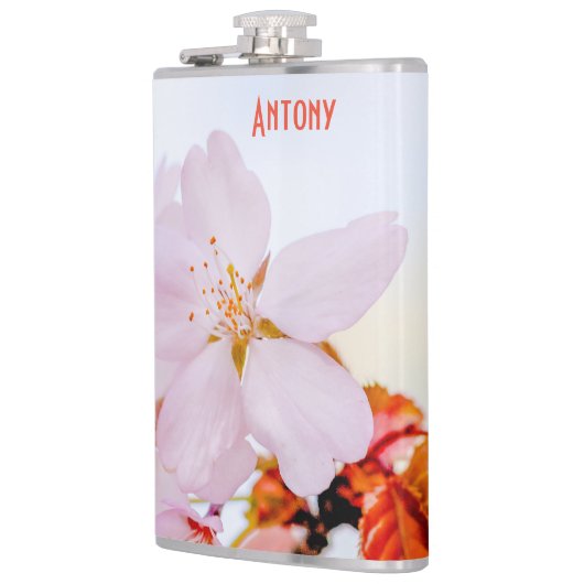 Flasques Sakura - Fleur de cerisier japonaise (Gauche)