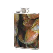 Flasques Salak [Fruit de serpent] (Gauche)