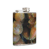 Flasques Salak [Fruit de serpent] (Droite)