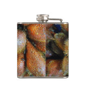 Flasques Salak [Fruit de serpent] (Dos)