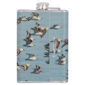 Flasques Sanderlings prend l'avion dans le ciel d'hiver (Dos)