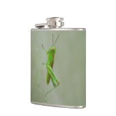 Flasques Sauterelle verte (Gauche)