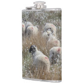 Flasques Semelles de vente en pelouse de coton dans le Nort (Gauche)