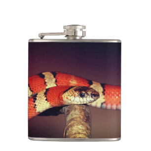 Flasques Serpent