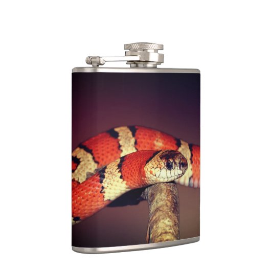 Flasques Serpent (Droite)