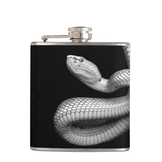 Flasques Serpent (Devant)