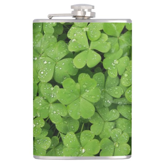 Flasques Shamrock vert frais, veine de St. Patricks (Devant)