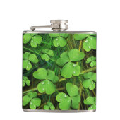 Flasques Shamrock vert St Patrick iPhone 5 Coque-Mate (Devant)