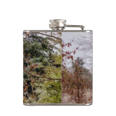 Flasques Shed abandonné (Dos)