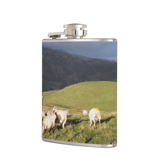 FLASQUES SHEEP (Gauche)