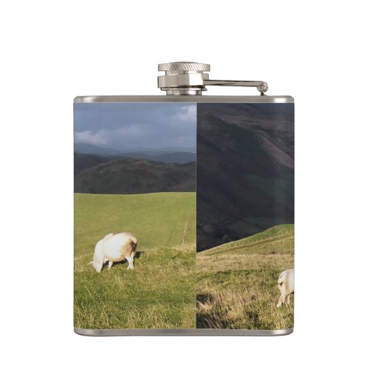 FLASQUES SHEEP (Dos)