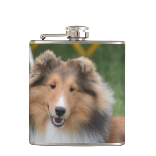Flasques Sheltie mignon (Devant)