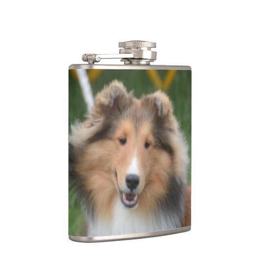 Flasques Sheltie mignon (Droite)