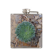 Flasques Succulent plante du désert (Dos)