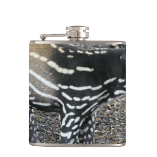 Flasques Tapir