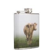 Flasques Taureau de vache blanche à l'arrière dans un champ (Droite)