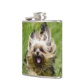 Flasques Terrier Yorkshire mignon Traversant L'Herbe (Gauche)