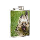 Flasques Terrier Yorkshire mignon Traversant L'Herbe (Droite)