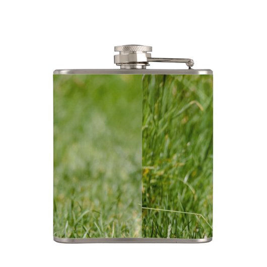 Flasques Terrier Yorkshire mignon Traversant L'Herbe (Dos)