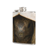 Flasques Tortue (Gauche)