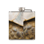 Flasques Tortue (Dos)