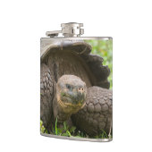 Flasques Tortue géante (Gauche)
