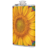 Flasques Tournesol Kaléidoscope (Gauche)
