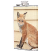 Flasques Trousse Red Fox dans la vallée de l'Hudson (Gauche)